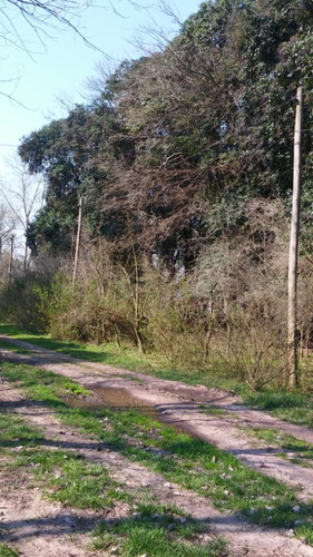 Imagen 3 de 8 de Lotes Privados Barrio Abierto En Canning