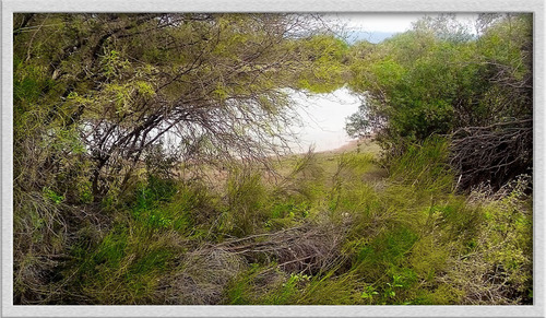 Campo En Venta En Patquia, La Rioja