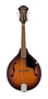 Primera imagen para búsqueda de mandolina instrumento