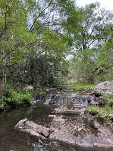 Imagen 3 de 11 de Campo En Carape - Con Hermosa Cañada - Oportunidad !!!!! - Zona Rural