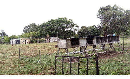 Imagen 6 de 13 de Campo De 6.8 Has En Punta Indio