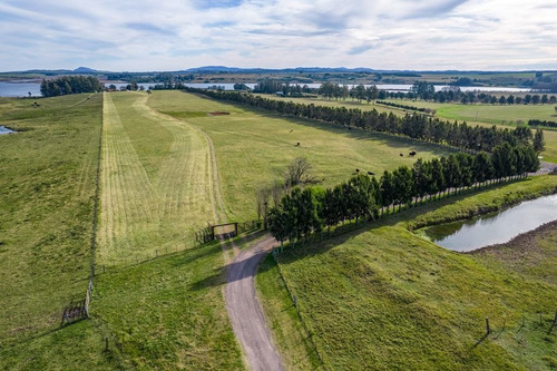 Imagen 4 de 16 de Venta De Chacra En Laguna Del Sauce, Punta Ballena