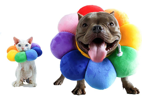 Collar De Recuperación Ajustable Para Mascotas - ...