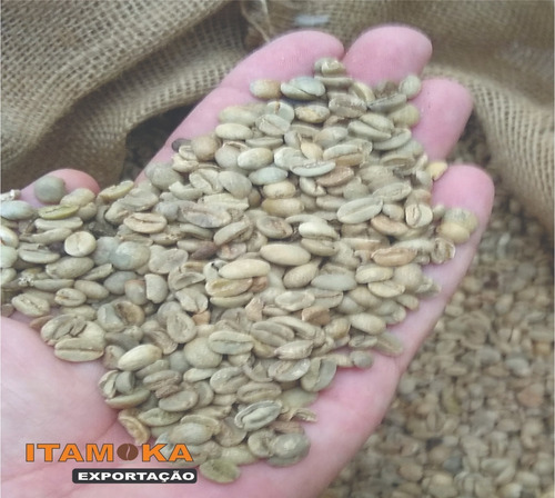 Café Cru Verde 17kg Sem Torrar Direto Produtor 100% Arábica