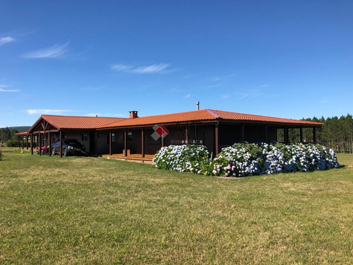 Imagen 4 de 30 de Chacra 15 Hás Con Cabañas En Pueblo Eden Espectacular!! Consulte!- Ref: 6430