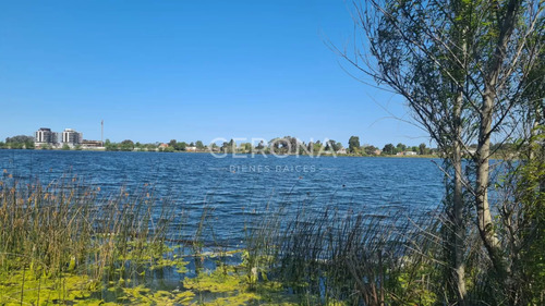 Venta Terreno De 11000mts En Carrasco Este .