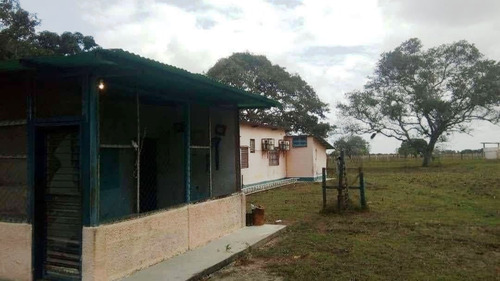 Imagen 7 de 14 de Fabulosa Finca En Maturin
