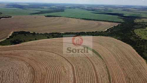 Imagem 7 de 20 de Fazenda À Venda, 4400000 M² Por R$ 22.000.000,00 - Zona Rural - Prata/mg - Fa0109