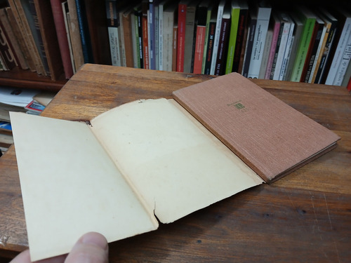 Manual De Zoologia Fantastica - Jorge Luis Borges (Usado)