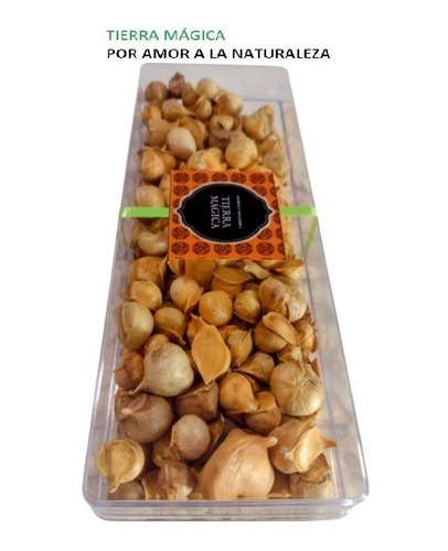 Ajo Japones (chino), Caja G, 500 Gr