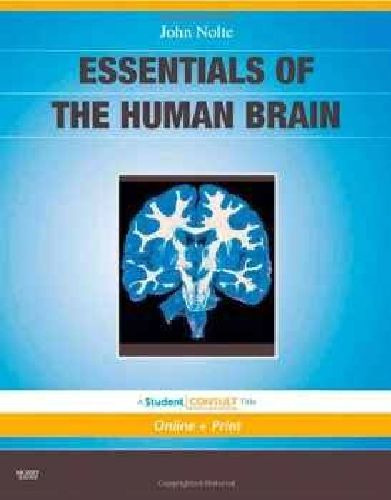 Ess Of The Human Brain