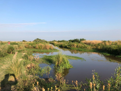 Campo En Santiago Del Estero Apto Para Explotación Ganadera (2200 Ha)