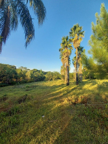 Imagen 18 de 30 de San Ignacio Golf & Resort Club De Campo