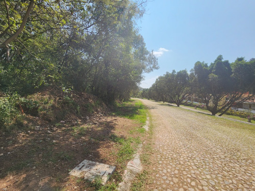 Venta Lote Glorieta 1 Justo En El Acceso Y Cerca De Amenidades Con Proyecto Incluído En Fracc Rancho San Diego Ixtapan De La Sal Edomex