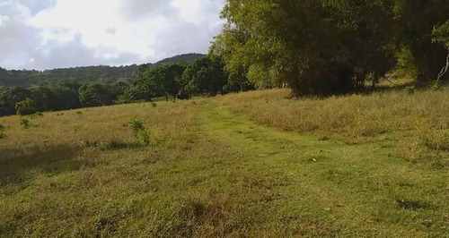 Interesante Terreno En  Santa Barbara Samana