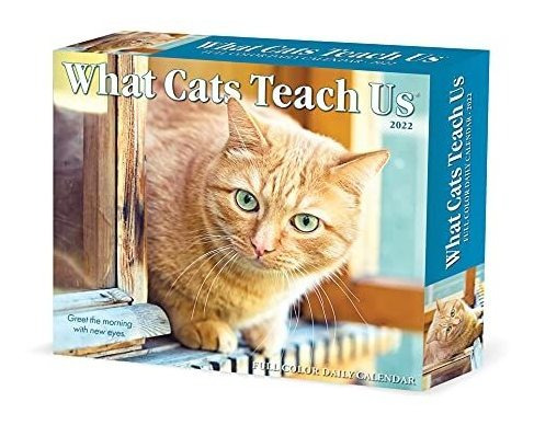 Book : What Cats Teach Us 2022 Box Calendar, Daily Desktop 
