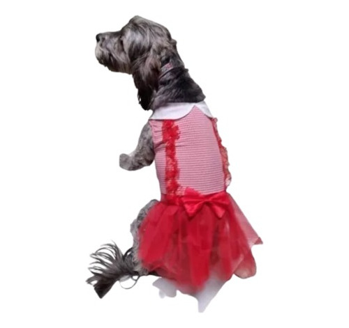 Disfraz Gótico Perro Raza Mediana Halloween Rojo O Negro