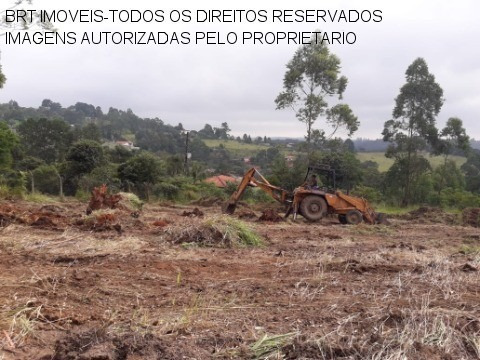 Imagem 18 de 22 de Terreno - Te00125 - 34466729
