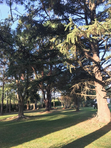 #venta Casa Quinta 11.990 Mts. - Lobos - Buenos Aires