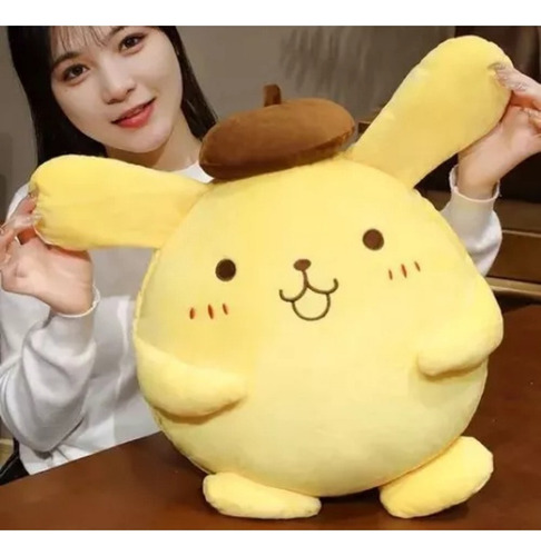 F Peluche Pompompurin 40 Cm Excelente Bordado Nuevo Woow