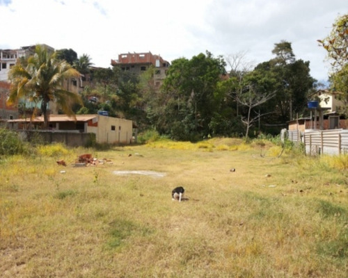 Imagem 2 de 2 de Terreno Com 1.200m² Em Frente Ao Novo Hospital Da Unimed - Com006 - 32069863