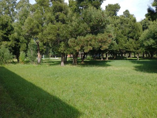 Campo En Venta En Punta Indio-99 Has Sobre Ruta