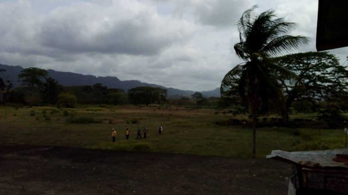 Imagen 15 de 15 de Finca En La Alegría En Yaracal Cerca De Tucacas