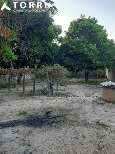Chácara No Bairro Do Morro Em Capela Do Alto/sp - Ch00271 - 68340011