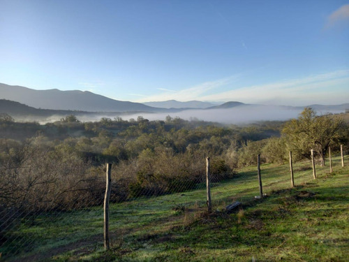 Oportunidad Parcela De 3,5 Ha Con Vegetación Nativa