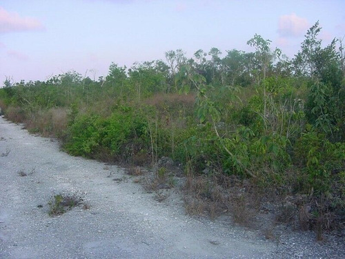 Imagen 1 de 2 de Lote En Santa Ana Junto A Lagos Del Sol, Cancun