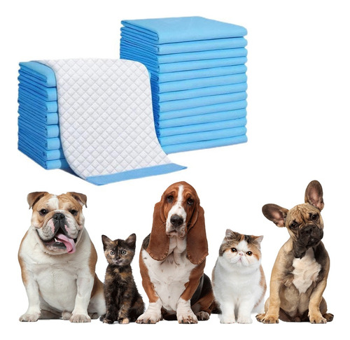 Pack De 40 Pañales Tipo Sabanilla Talla L 60x60 Perro Gato