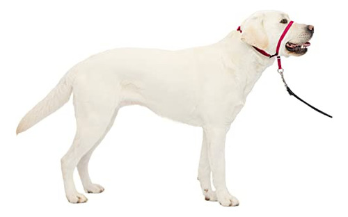 Collar De Cabeza Petsafe Gentle Leader Sin Tirones Para Perr