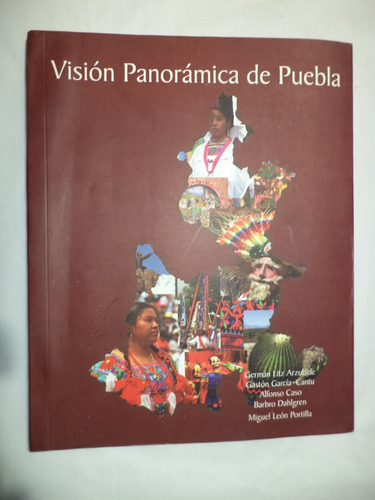 Visión Panorámica De Puebla