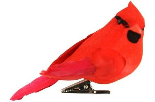 Toque De Naturaleza 21235 Pajaro Cardenal Rojo De Plumas, 3