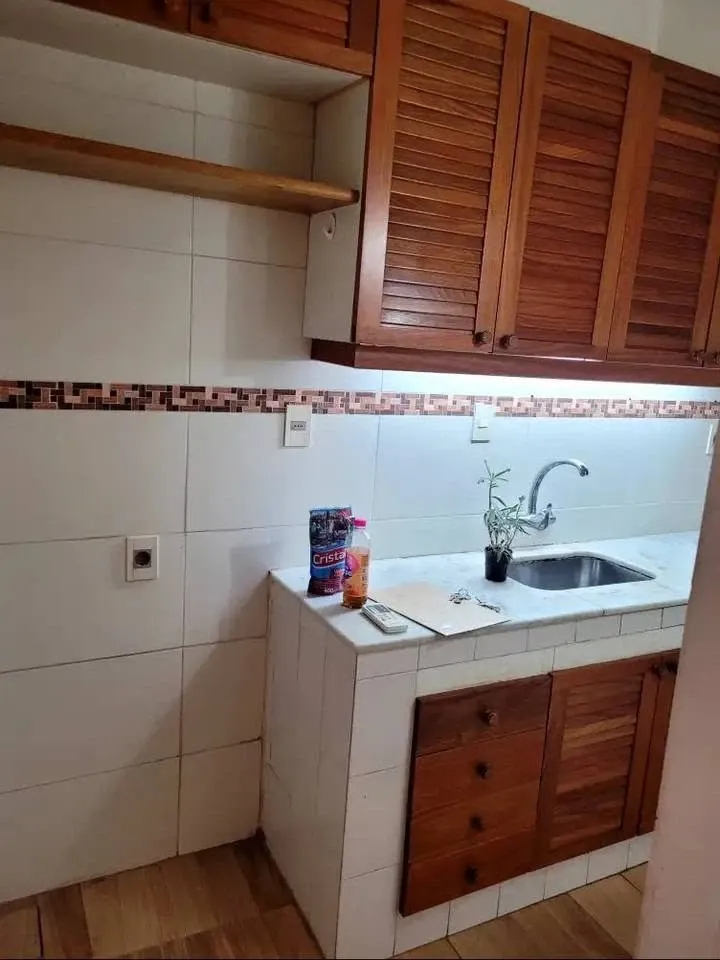 Punta Carretas Apartamento 2 Dormitorios Al Frente · Foto 3