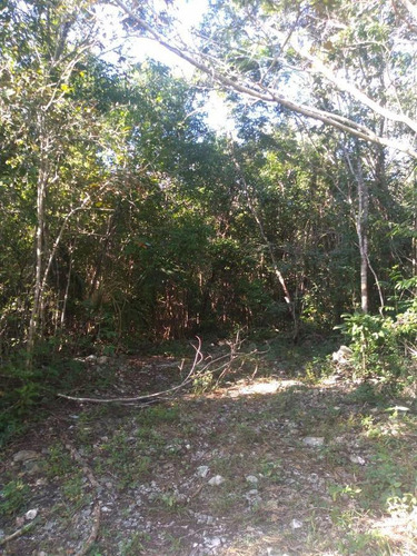 Terreno 50 Hectareas Para Desarrollo Detrás De Ejido Playa Del Carmen