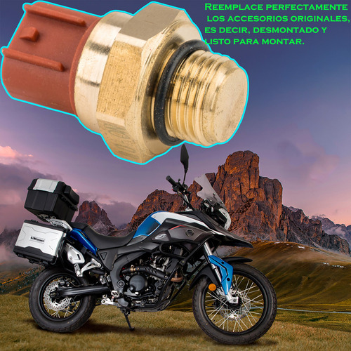 Sensor De Temperatura Radiador Vx250 Vortx300/r E15040008