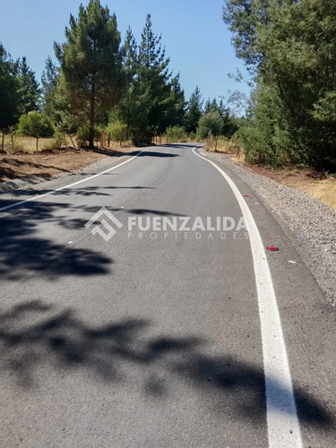 Sitio En Venta En Parral Sector Machicura