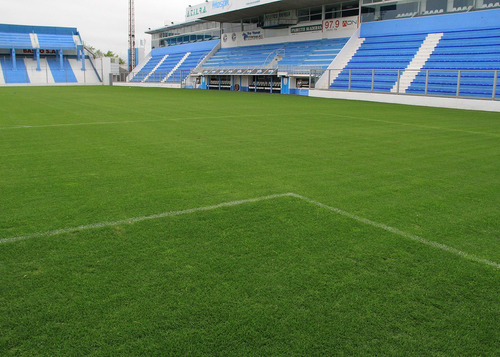 Semillas Mezcla Cancha De Fútbol X 20 Kg. 