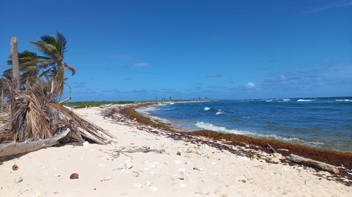 Imagen 1 de 9 de Terreno En Punta Cana Bavaro