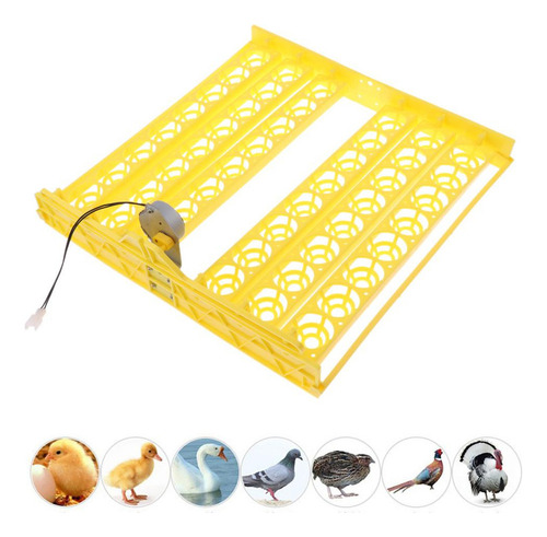 Incubadora Automática De Ovos 56 Ovos Turner Bandeja Codorna