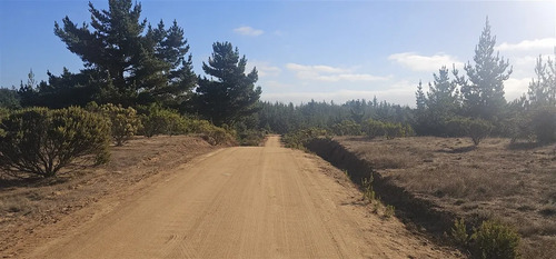 Parcela En Venta En Pichilemu