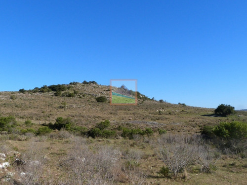 Imagen 4 de 30 de 79 Hás Campo Criador Y Serrano En Corte De La Leña