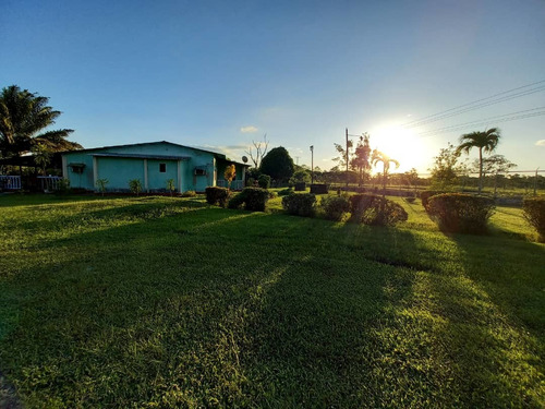 Imagen 8 de 9 de Se Vende Hato En San Agustin De La Pica Ve02-1225vlp-mche