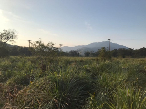Imagem 15 de 29 de Fazenda À Venda, 3509000 M² Por R$ 2.000.000 - Centro - Pariquera-açu/sp - Fa0216