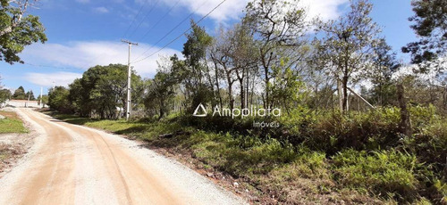 Chácara À Venda, 2.000 M² Por R$ 210.000 - Chácaras Olhos D´água - Campina Grande Do Sul/pr - Ch0060