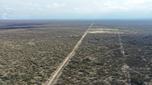 Se Vende Campo Ganadero De 3500 Ha En Mendoza, Argentina