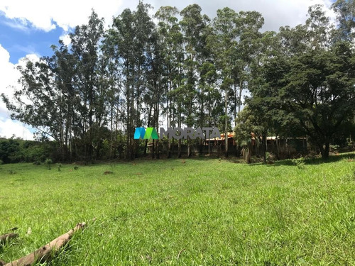 Imagem 7 de 15 de Fazenda - Zona Rural - Ref: 4667 - V-mta4667