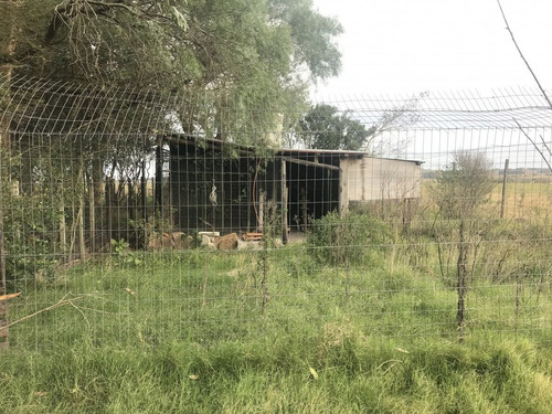 Chacra A 15 Minutos De Punta Del Este. 3 Dormitorios, Casita De Huespedes, Capacidad 10 Personas- Ref: 1135