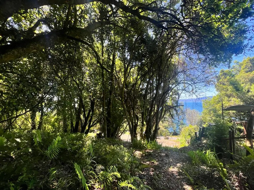 Increíble Sitio De 1564m2 Con Orilla De Lago Villarrica